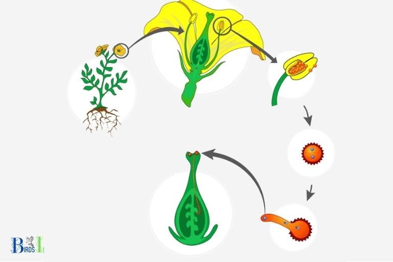 Why Is the Pollination of Fruit Trees Especially Important