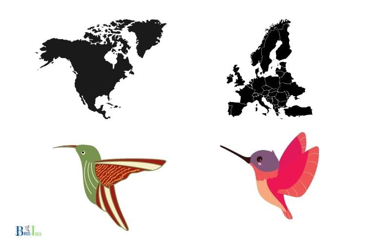 Do Different Species of Hummingbirds Have Different Weights