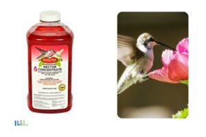 What Does Hummingbird Poop Look Like: Liquid!
