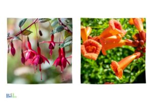What Hanging Plants Attract Hummingbirds