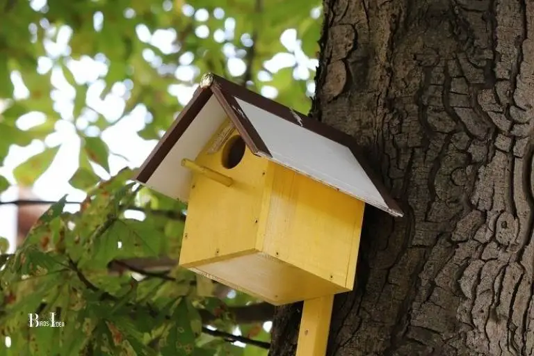 What Is A Hummingbird House