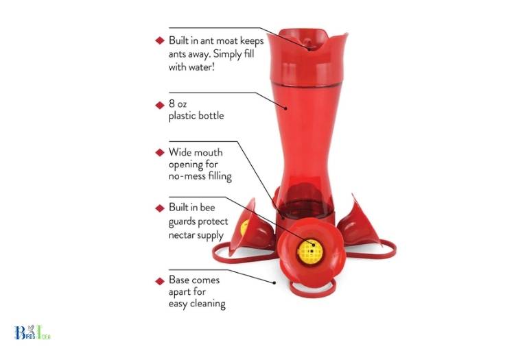 What Features Should I Look for in a Bee Proof Hummingbird Feeder