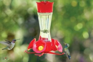 What Is the Best Bee Proof Hummingbird Feeder? 12 OZ!