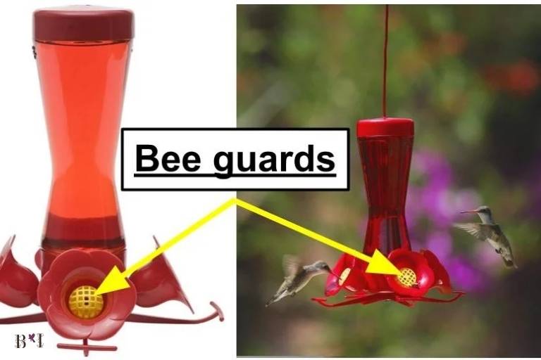 When purchasing a bee proof hummingbird