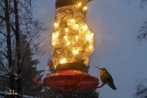 Do Hummingbirds Feed at Night: No, 5 Aspects!