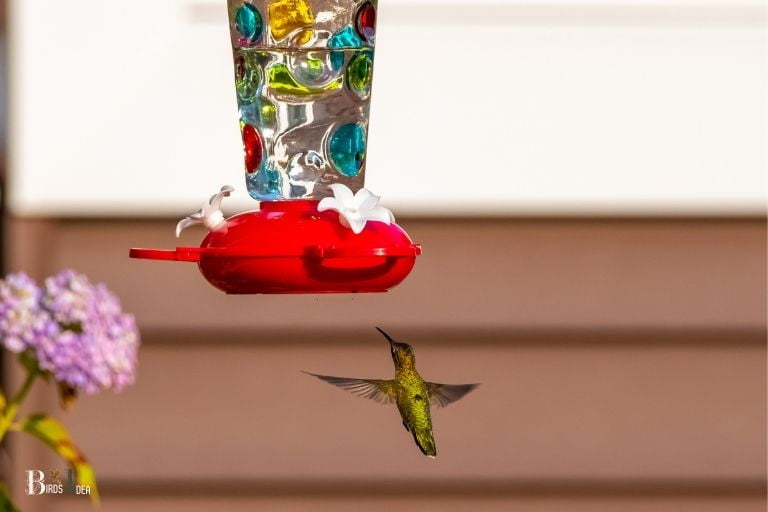 how do hummingbirds find feeders