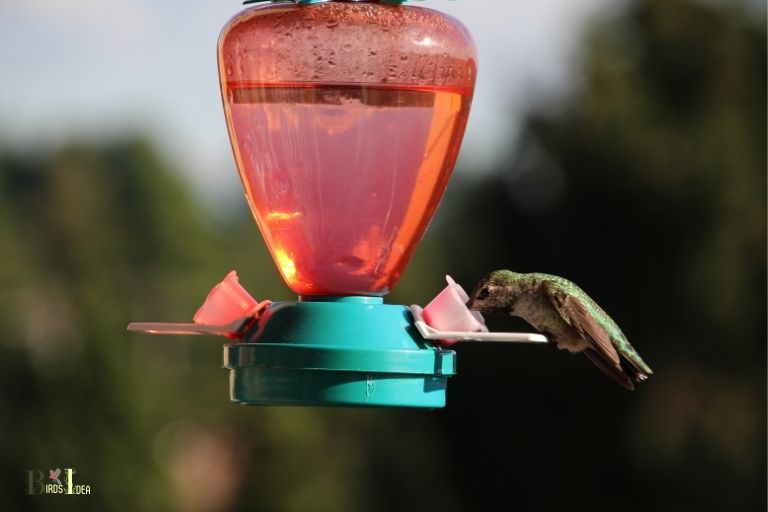 How To Make Nectar For Hummingbirds Feeders? 4 Steps!