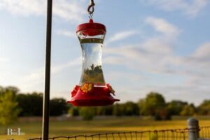 If I Move My Hummingbird Feeder Will They Find It: Yes!