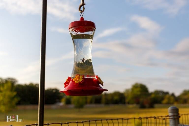 if i move my hummingbird feeder will they find it