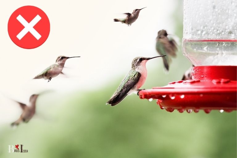 when to stop feeding hummingbirds in ohio