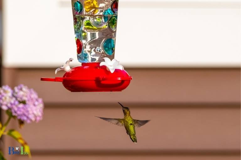 are metal hummingbird feeders bad