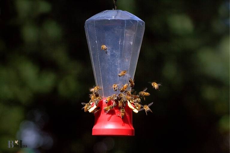 bees are swarming my hummingbird feeder