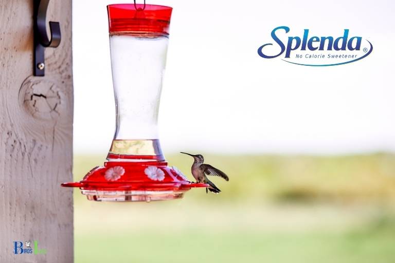 can you use splenda in a hummingbird feeder