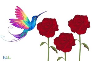 do hummingbirds feed on roses