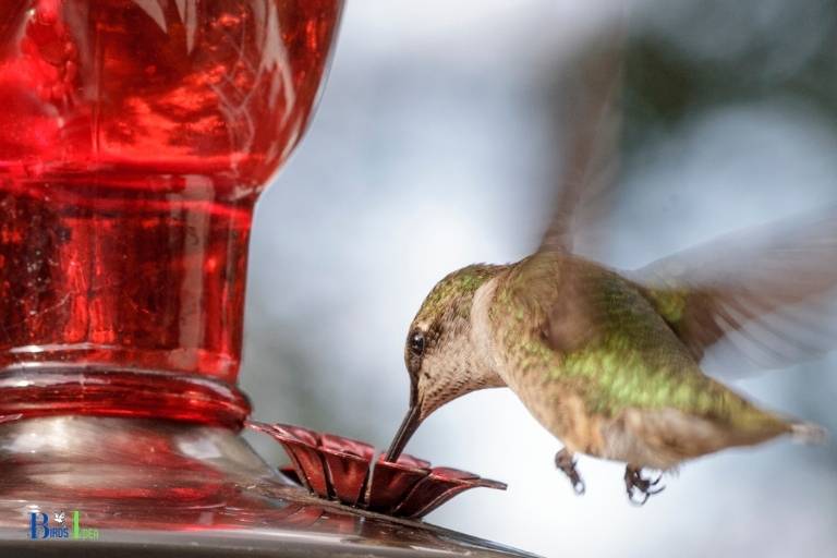 does peppermint oil keep bees away from hummingbird feeders