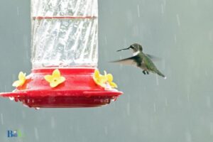 Does Rain Dilute Hummingbird Feeders: Yes!
