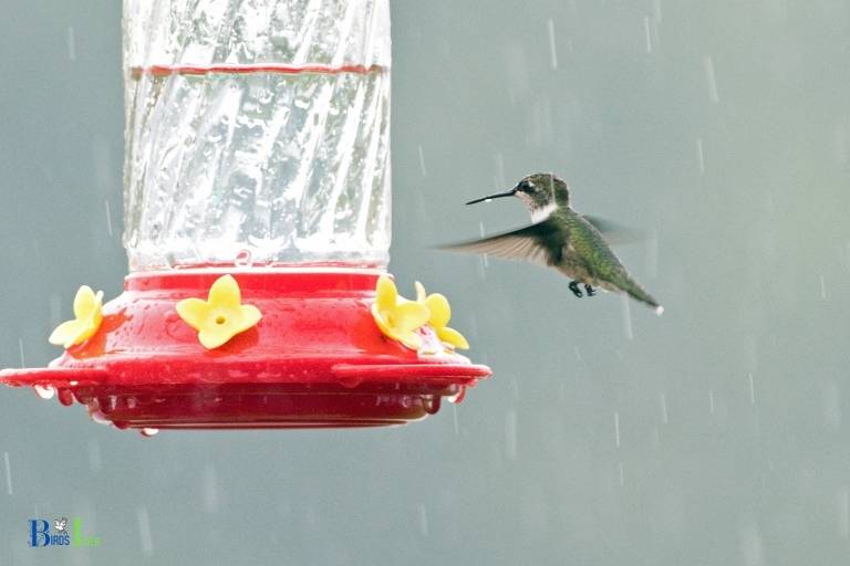 does rain dilute hummingbird feeders