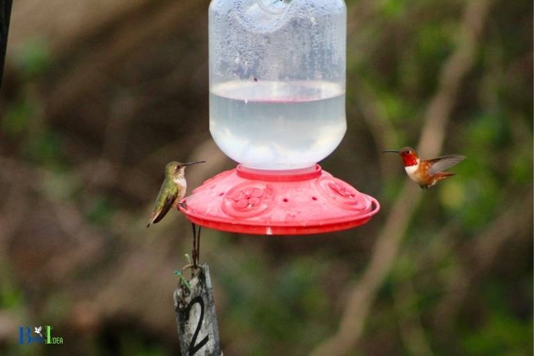 hand held hummingbird feeder diy