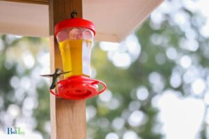 How Do You Feed Hummingbirds Peanut Butter: Mixture!