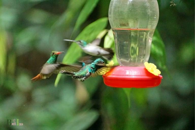 how high to hang a hummingbird feeder