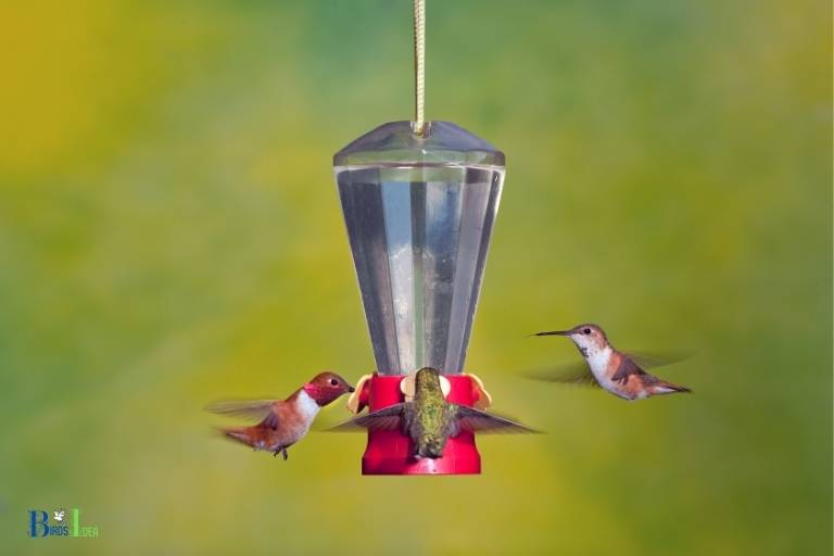 how to add a perch to a hummingbird feeder