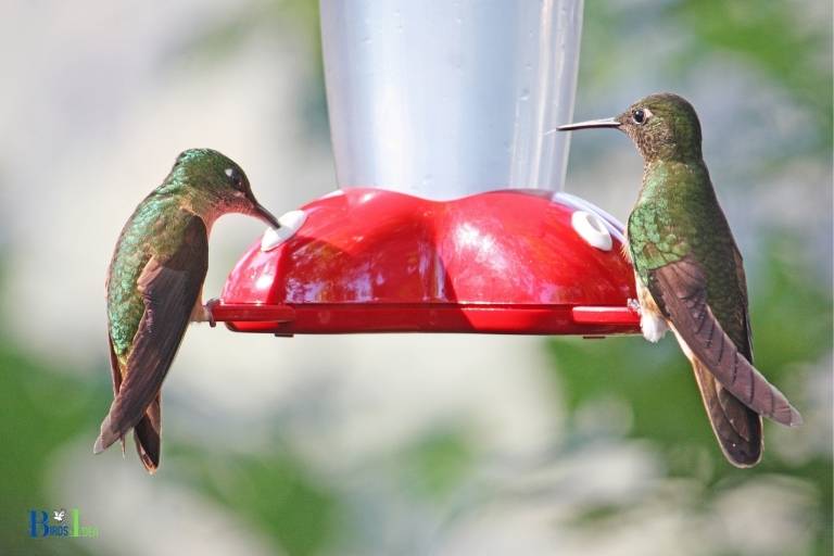 how to attach hummingbird feeder