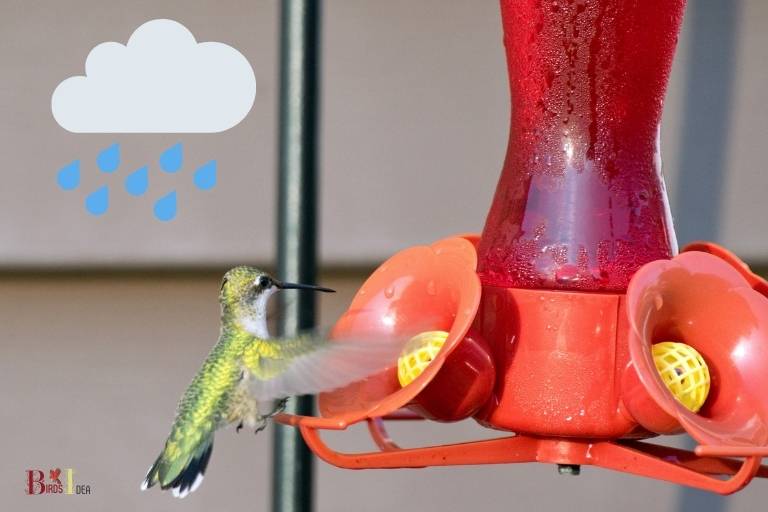 how to clean first nature hummingbird feeder