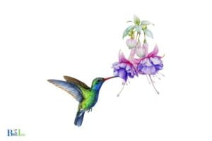 How to Draw a Hummingbird Feeder: Sketch The Base Shape!