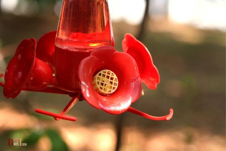 how to fill a bottom fill hummingbird feeder