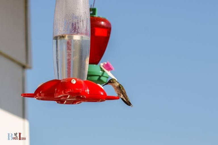 how to fill a tube hummingbird feeder