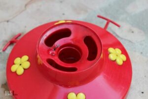 How To Get Mold Out Of Hummingbird Feeder? Steps!