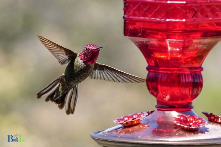 how to hang a glass hummingbird feeder