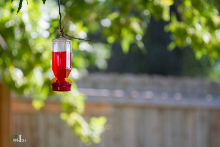 how to hang hummingbird feeder from eaves
