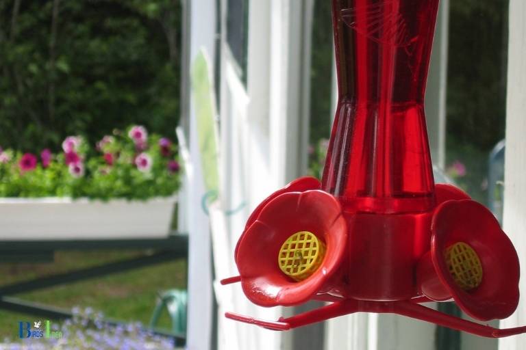 how to hang hummingbird feeder on window