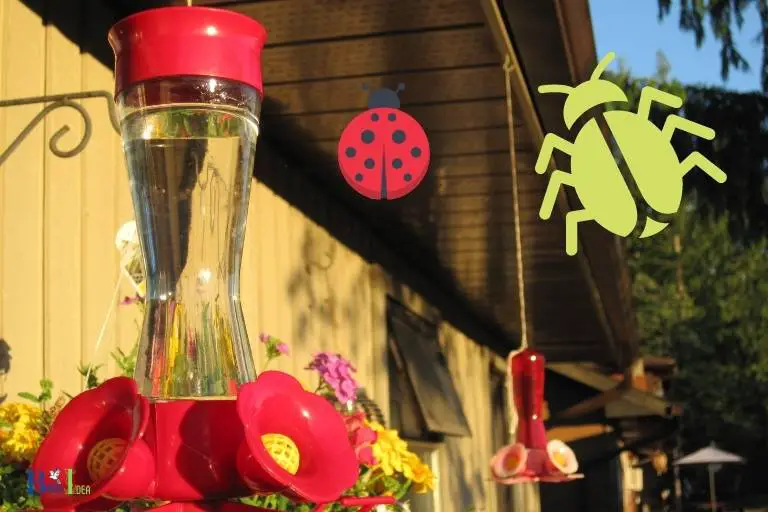 how to keep bugs out of hummingbird feeder