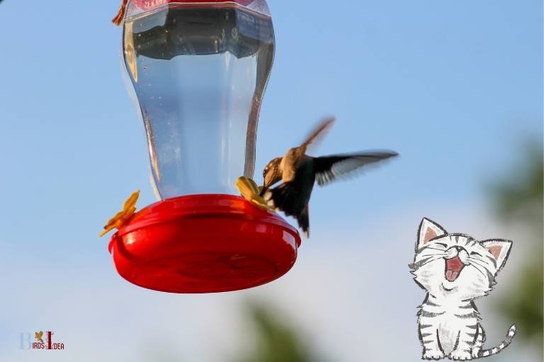how to keep cats away from hummingbird feeders