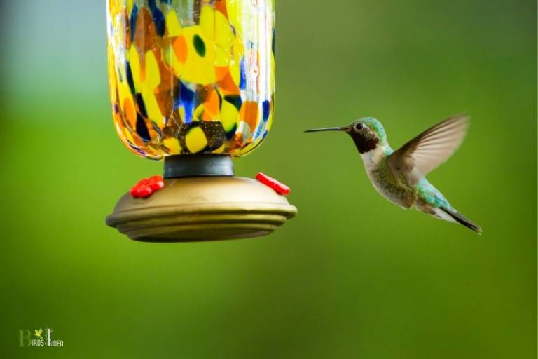 How To Make A Hummingbird Feeder Out Of A Chandelier: Guide