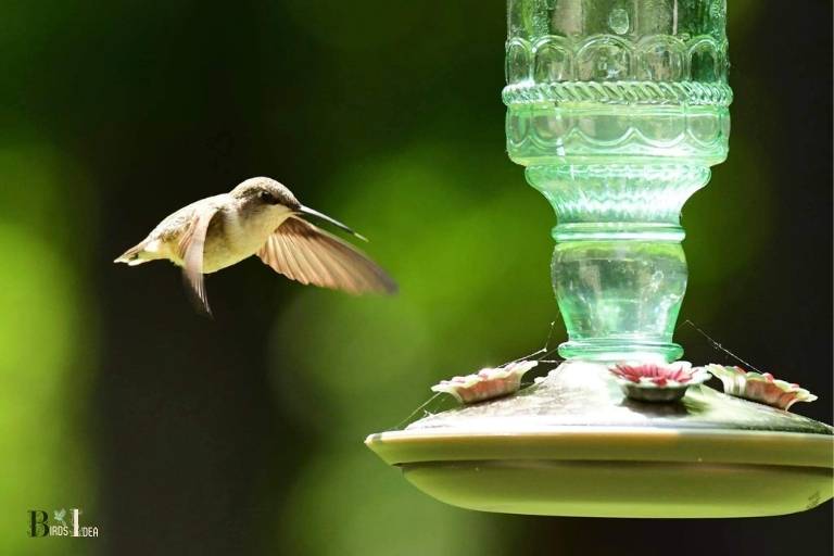 how to make a hummingbird feeder stopper