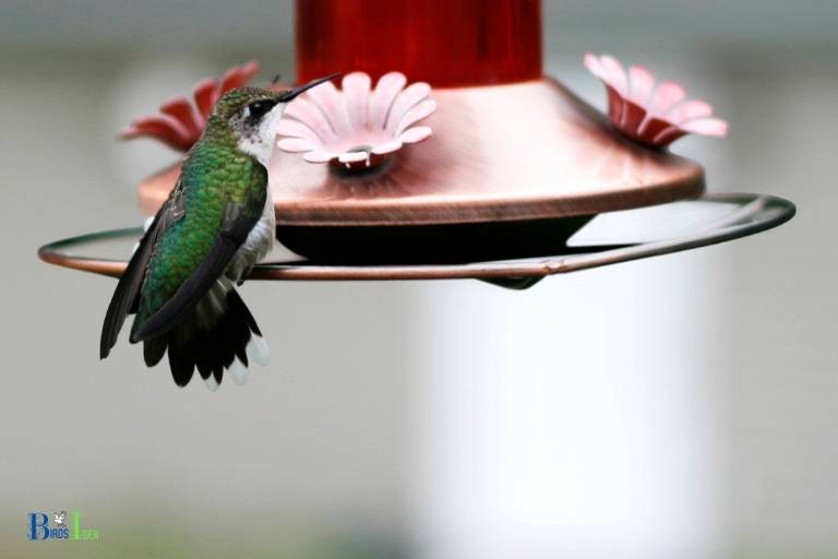 how to make hummingbird feeder tubes