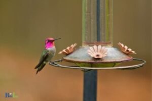 how to take apart a hummingbird feeder