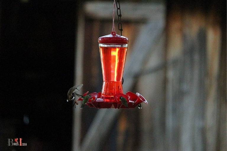 how to thaw hummingbird feeder