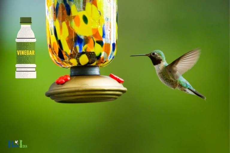 hummingbird feeder smells like vinegar