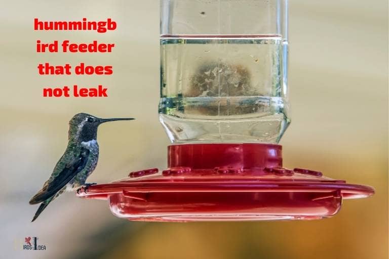 hummingbird feeder that does not leak