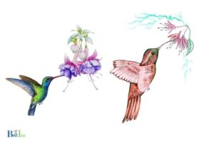 Hummingbird Nectar Recipe Plus Feeder Tips: Consists