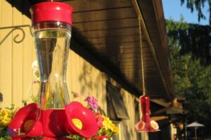 Ideas for Hanging Hummingbird Feeders: Accessibility!