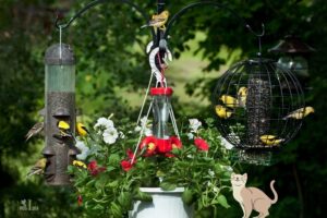 What Animals Get into Hummingbird Feeders: Insects!