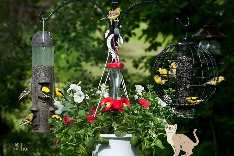 what animals get into hummingbird feeders