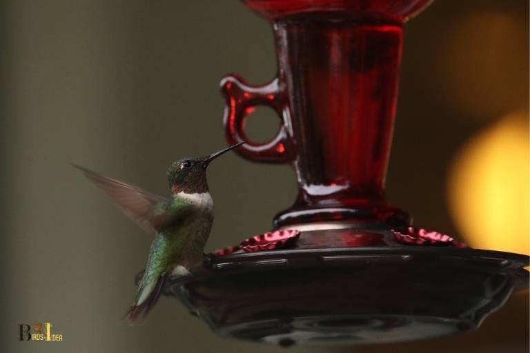 what is attacking my hummingbird feeder at night