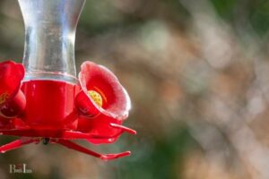 What is the Red Stick in My Hummingbird Feeder: Nectar Port