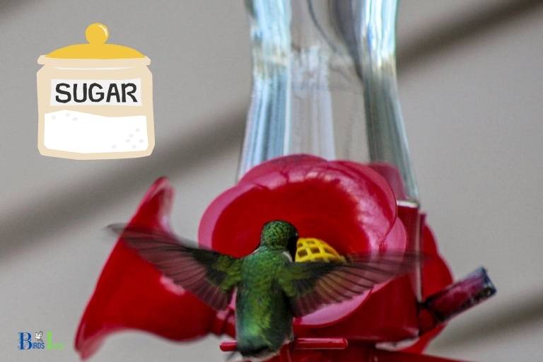 when to increase sugar in hummingbird feeder